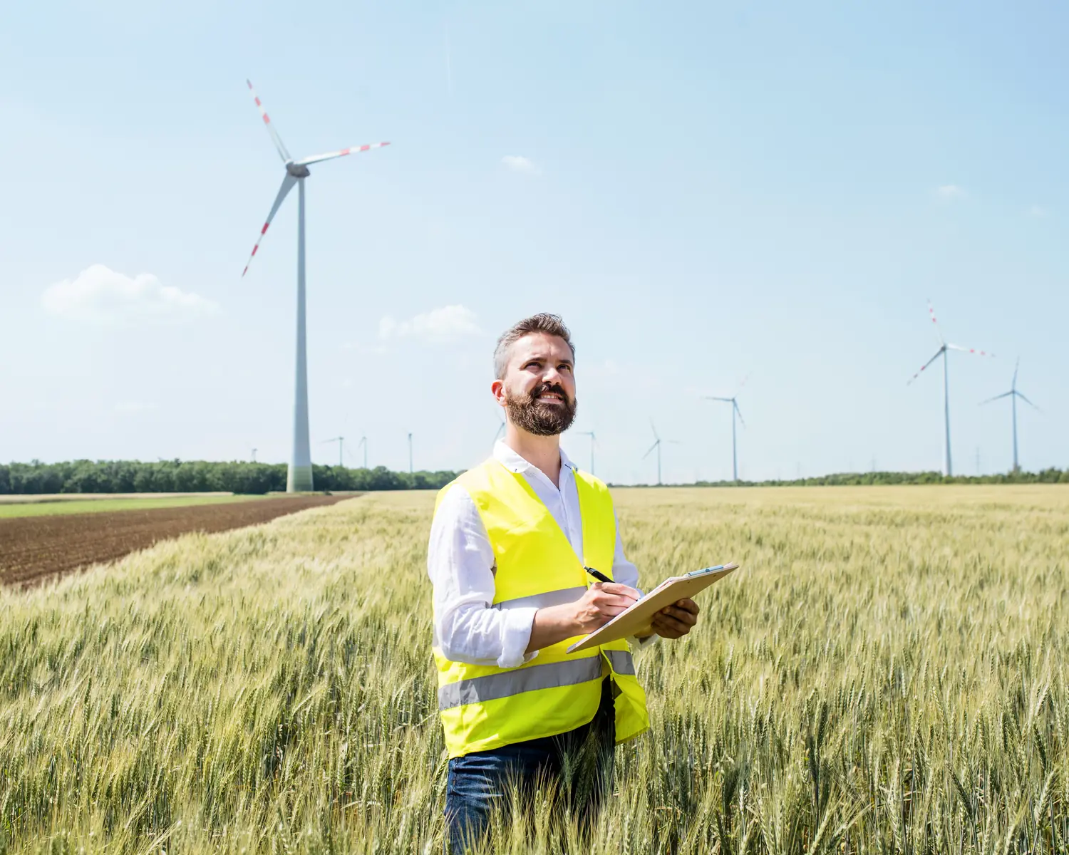 Gutachter in einem Getreidefeld, im Hintergrund ein Windpark