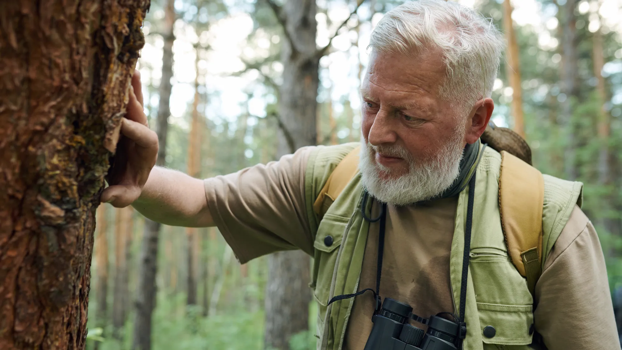 Kartierer untersucht die Rinde eines Baumes im Wald