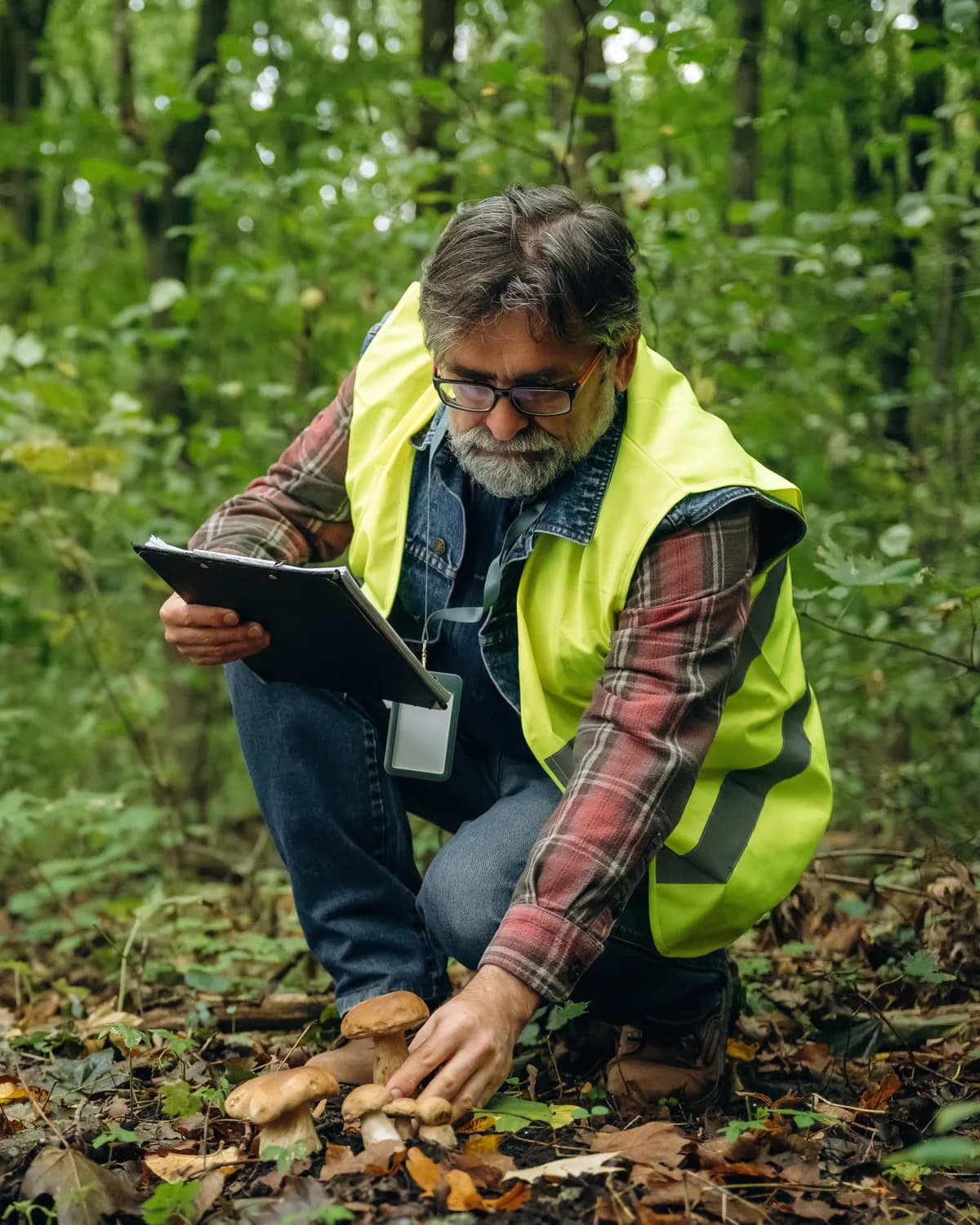 Kartierer mit Warnweste und Klemmbrett bei einer Aufnahme am Waldboden