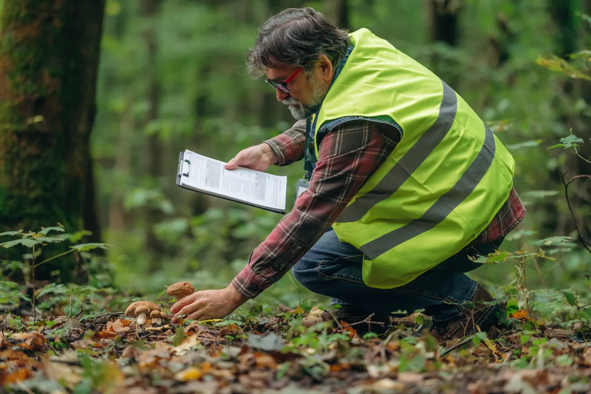 Kartierer mit Klemmbrett bei einer Aufnahme am Waldboden