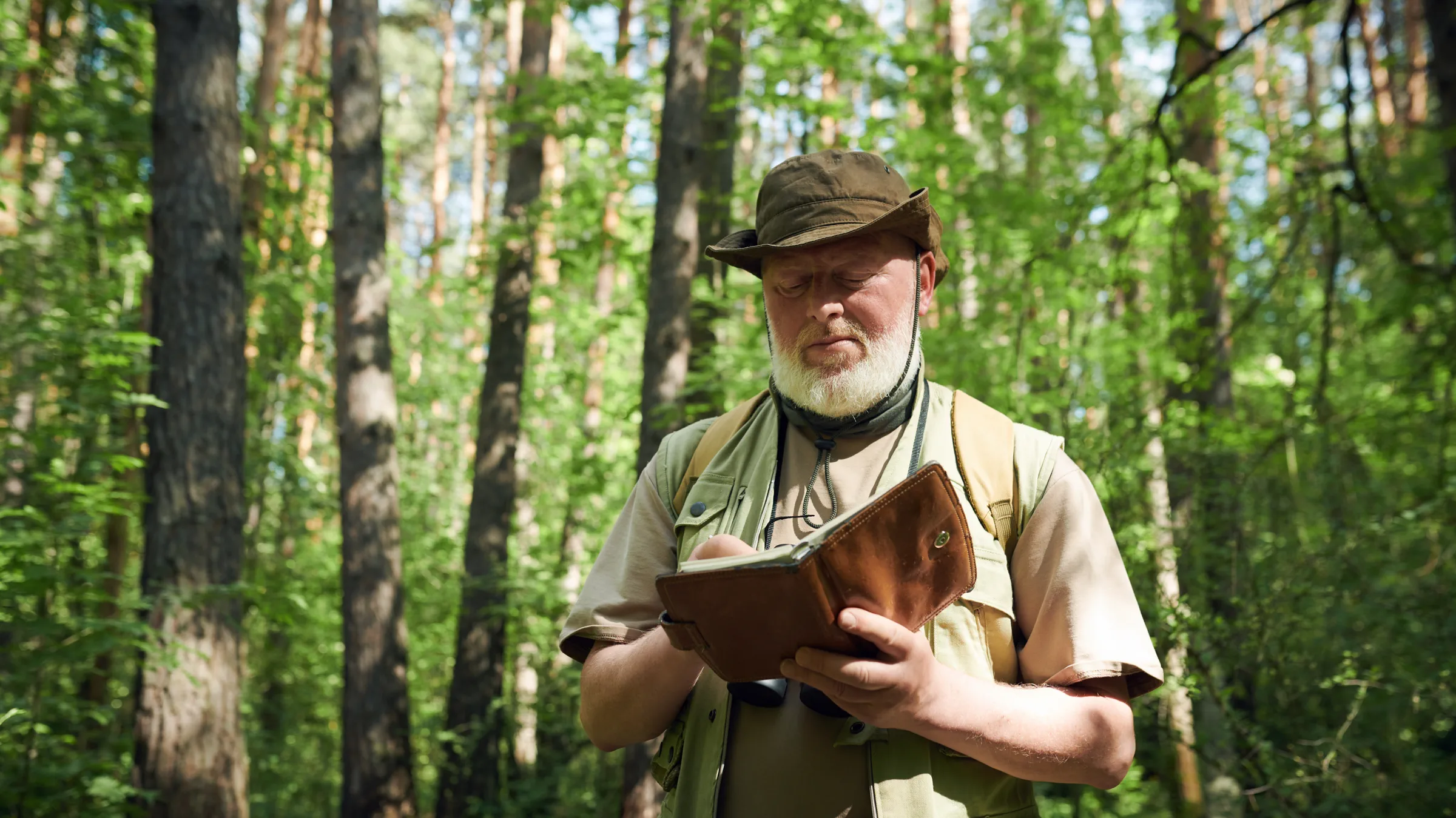 Kartierer notiert seine Beobachtungen in einem sonnigen Kiefernwald