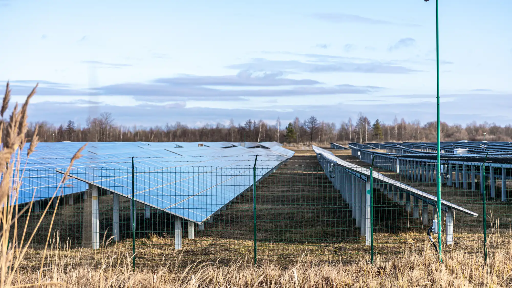 Solarpark auf einer Freifläche, umgeben von Wiesen und Baumreihen